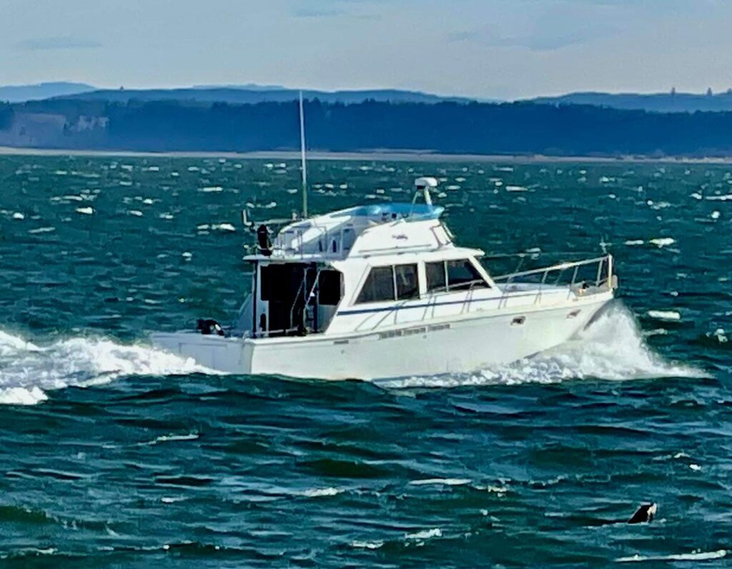 Comeback Charter Boat Deep Sea Sportfishing Westport