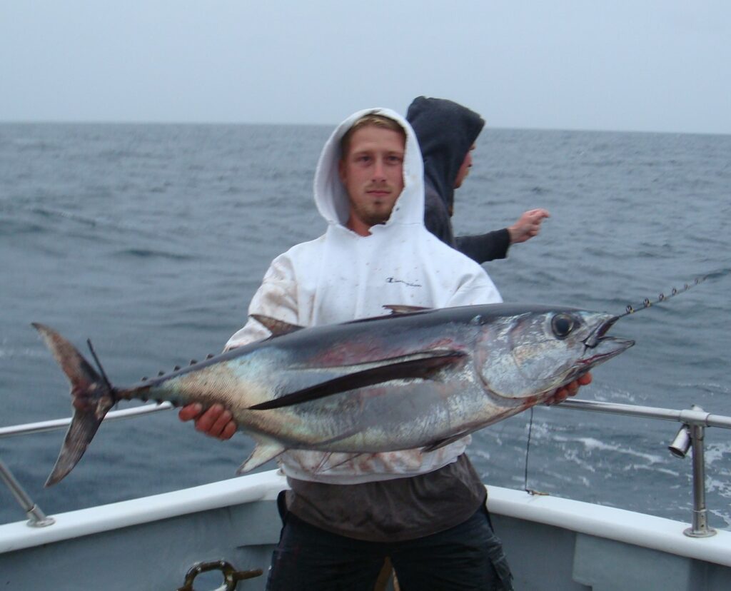 Albacore Tuna Fishing - Deep Sea Sportfishing