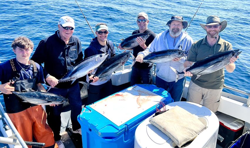 Albacore Tuna
